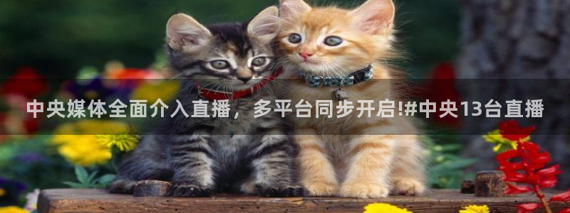 河豚直播：中央媒体全面介入直播，多平台同步开启!#中央13台直播